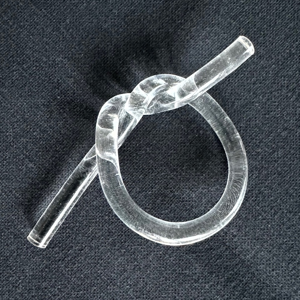 Single Dorothy Thorpe Pretzel Napkin Ring